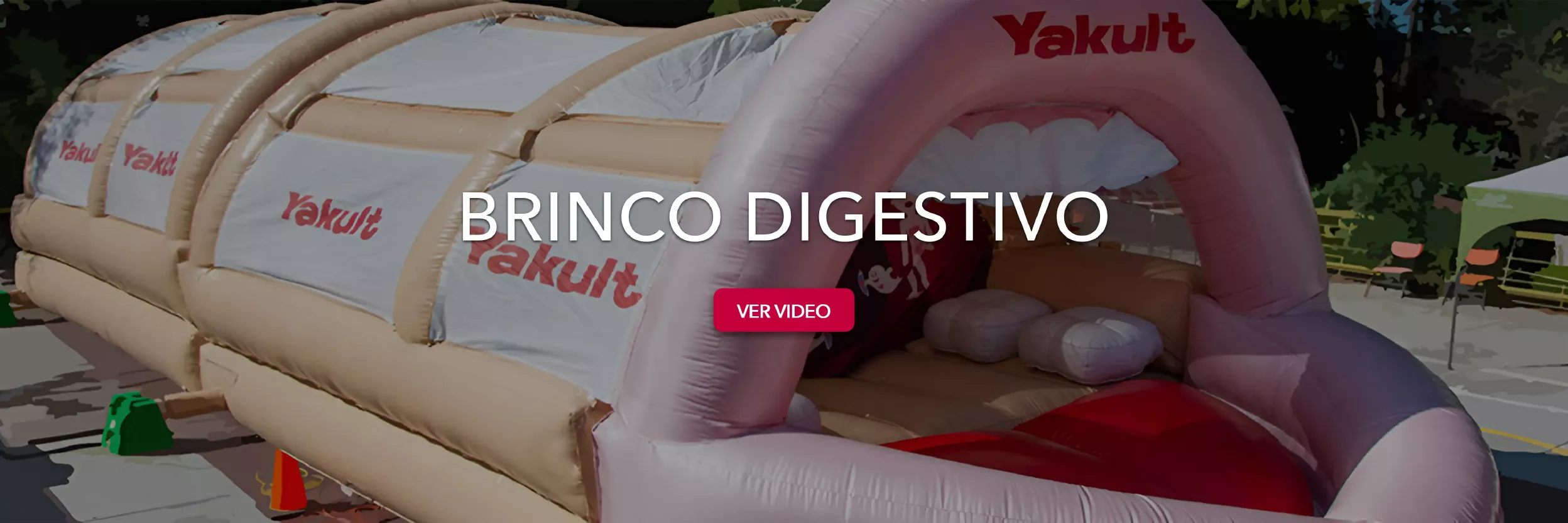 brinco digestivo